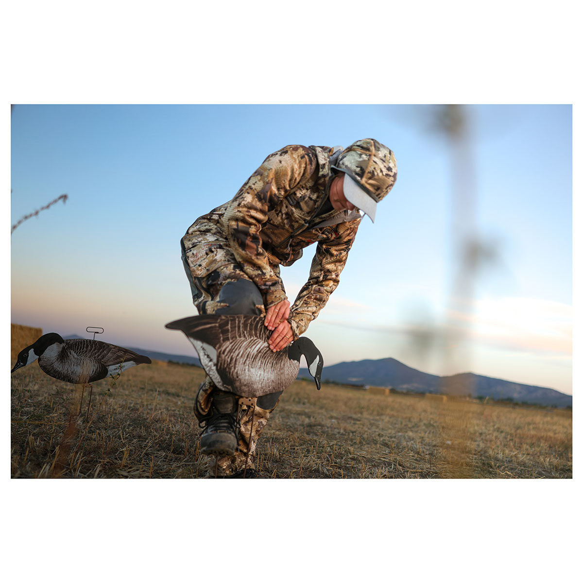 Higdon FLATS Magnum Canada Goose Motion Silhouette Decoys Image