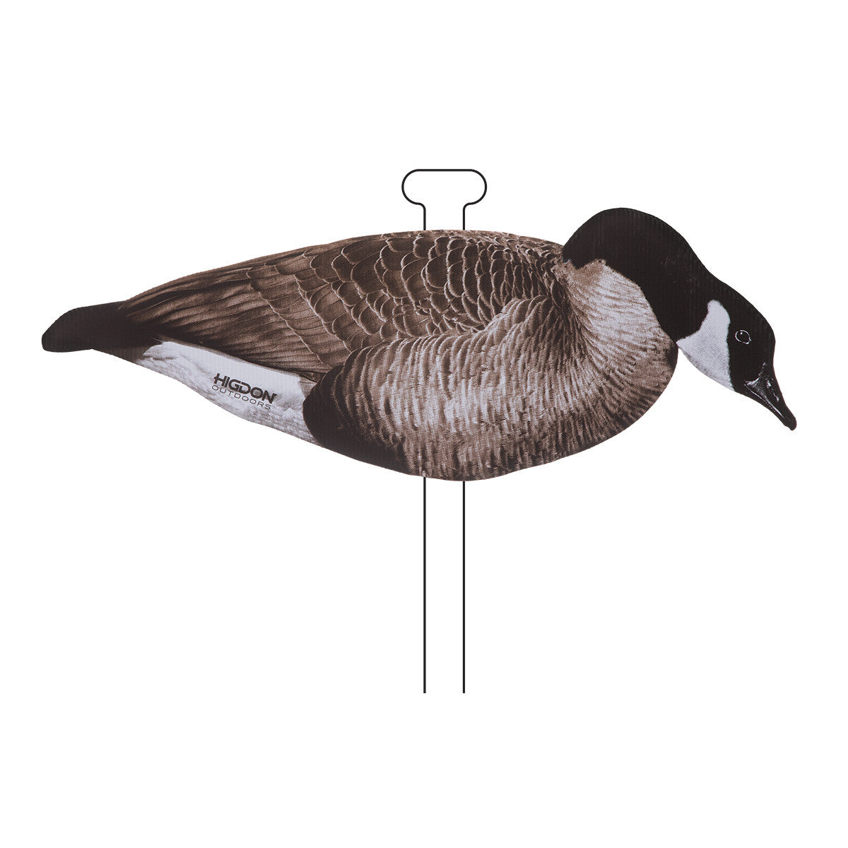 Higdon FLATS Canada Goose Standard Decoys Feeder Image