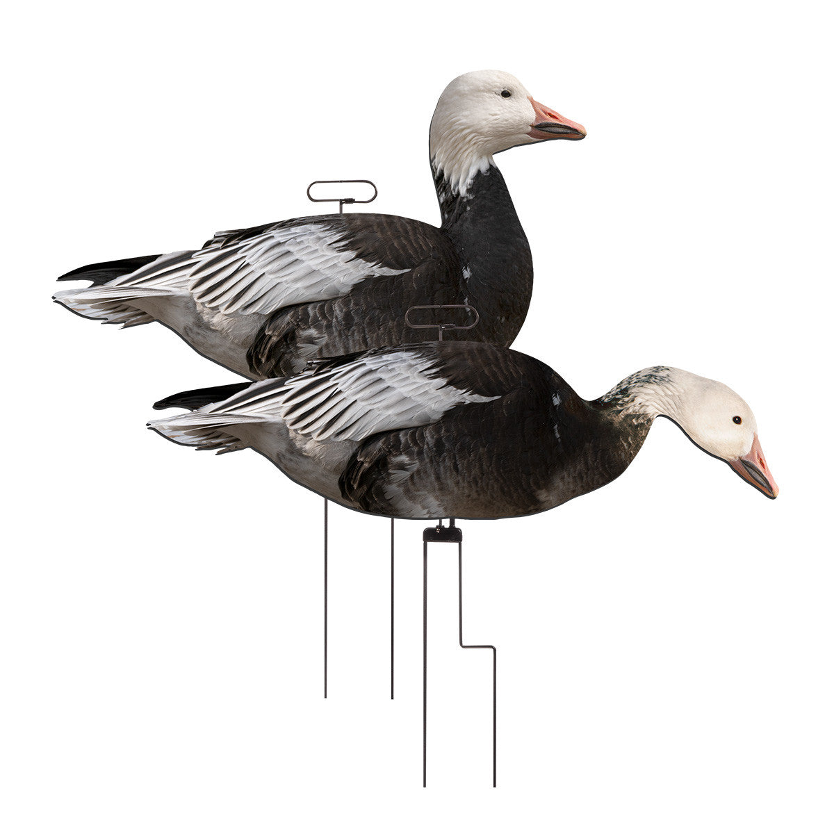 Higdon FLATS Magnum Blue Goose Motion Silhouette Decoys Product Image