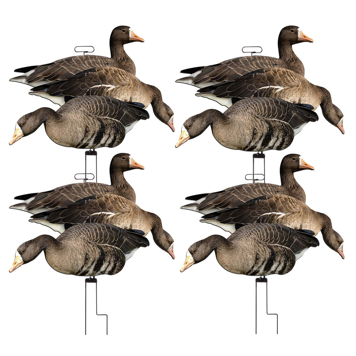 Higdon FLATS Specklebelly Goose Motion Silhouette Decoys 12 Pack Image
