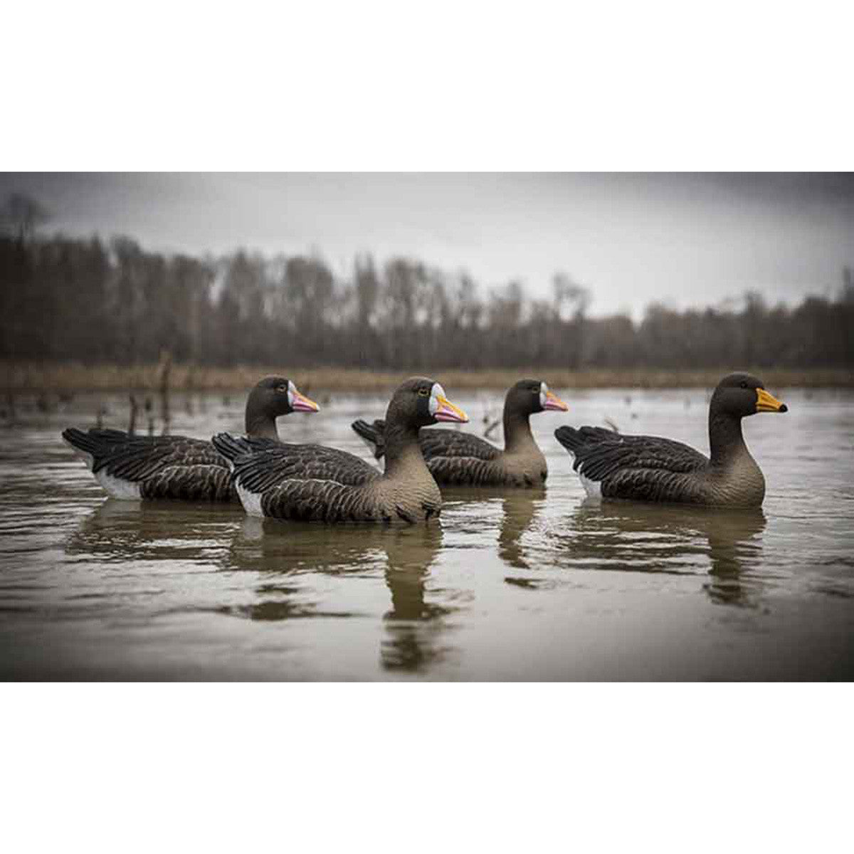 Higdon Full Size Speck Goose Floating Foam-Filled Decoys Lifestyle Image