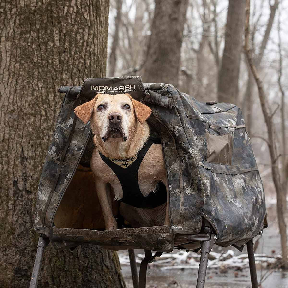 MOmarsh Invisi-Lab Dog Blind