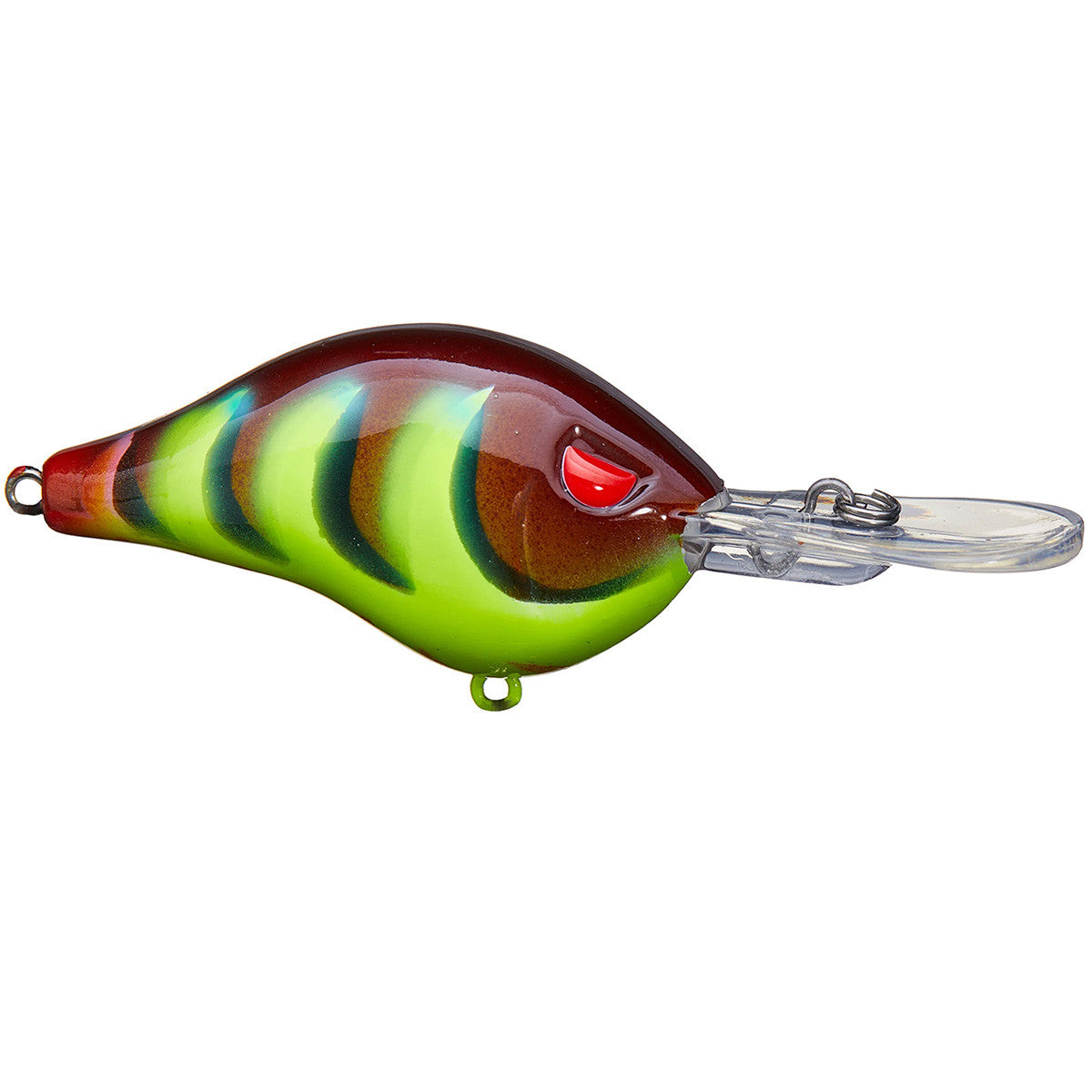 Shad Dad Crankbait 1/2 oz Shallow Diver