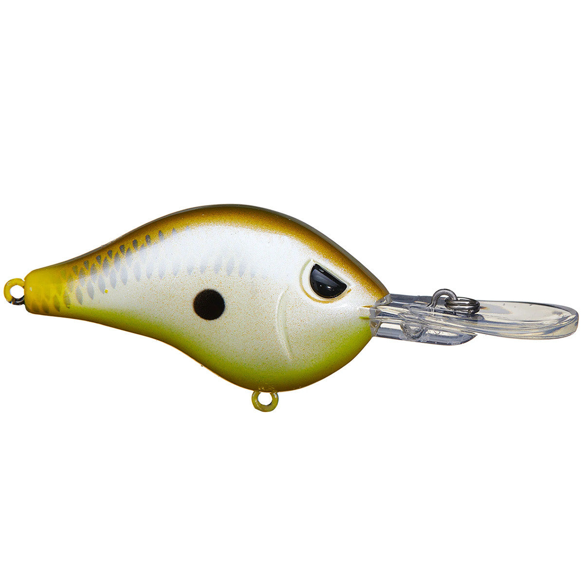Shad Dad Crankbait 1/2 oz Shallow Diver