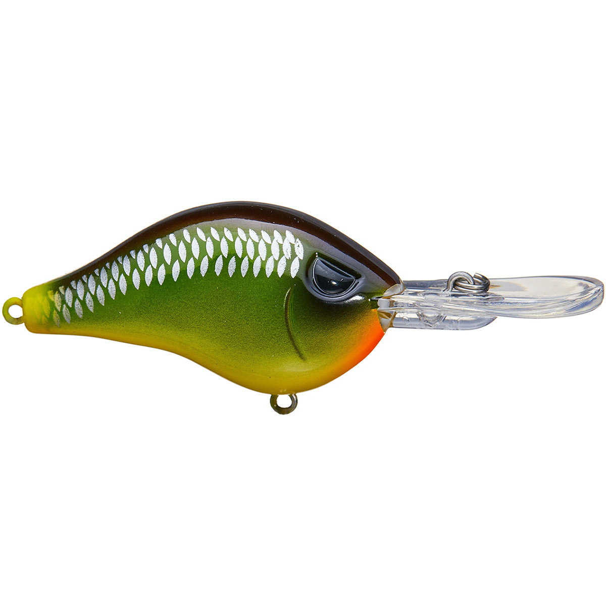 Shad Dad Crankbait 1/2 oz Shallow Diver