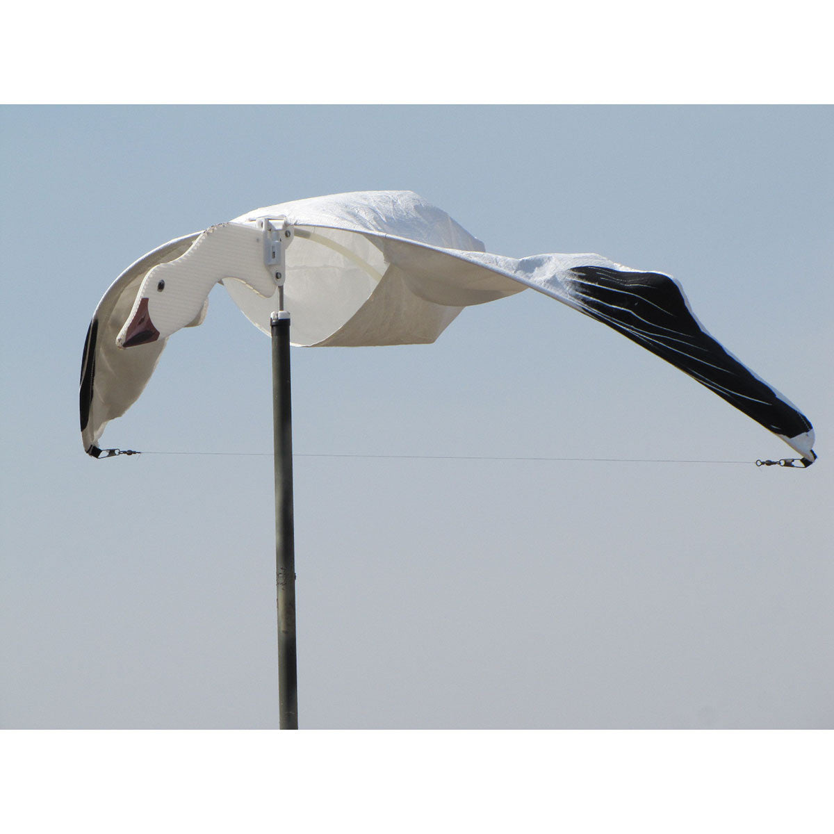 Heavy Hauler Outdoor Gear Cupped and Committed Motion Snow Goose Decoy Field Image