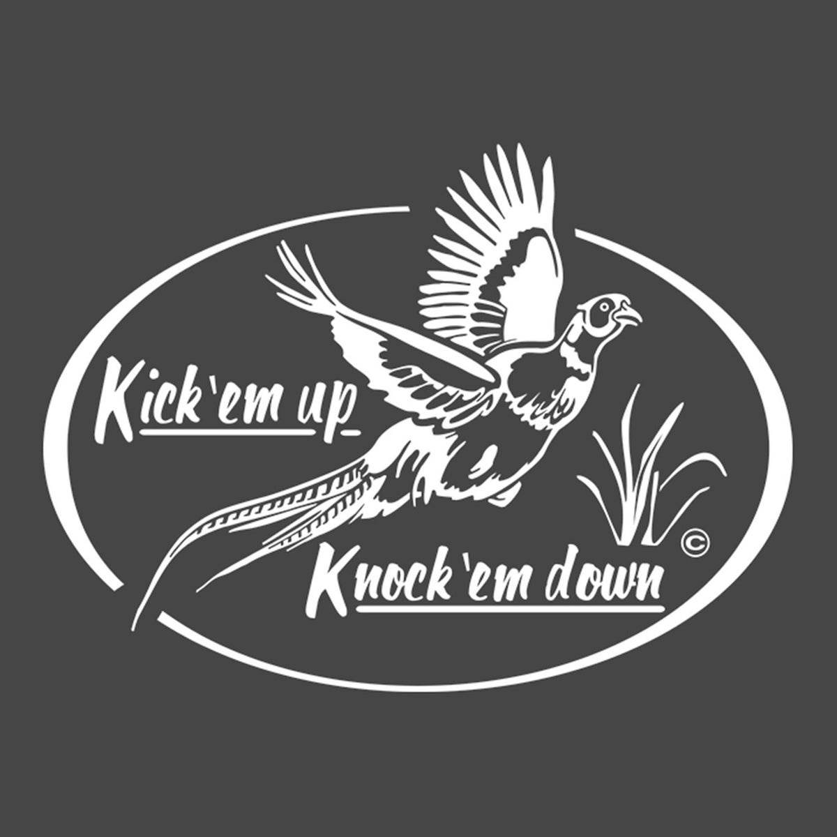 Hunters Image Pheasant Window Decal Image
