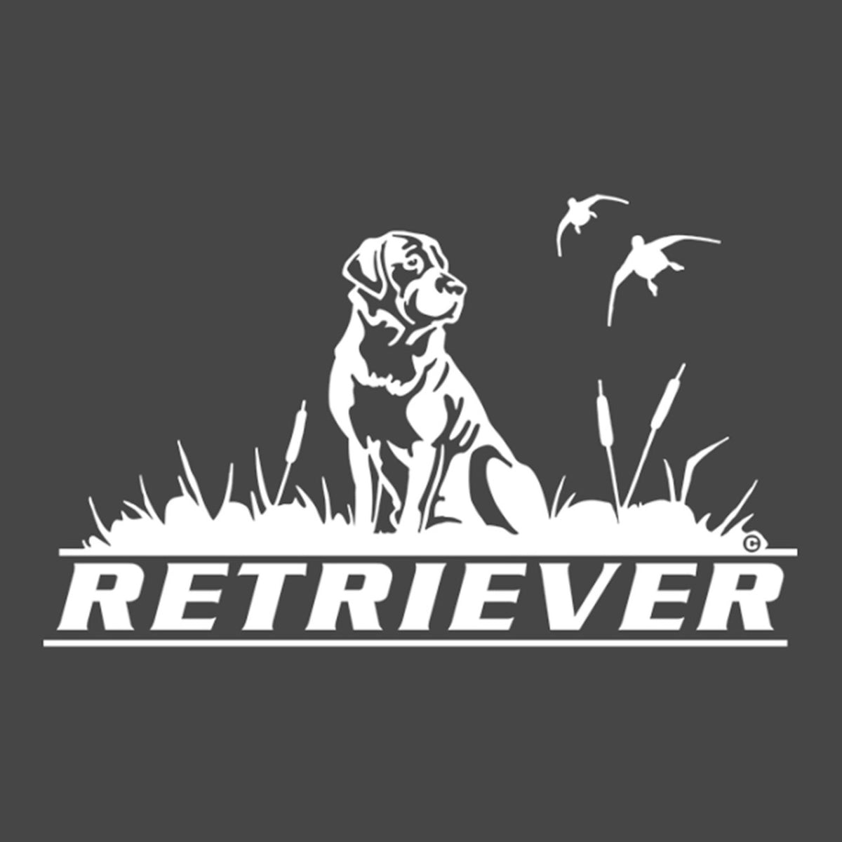 Hunters Image Retriever Waterfowl Window Decal