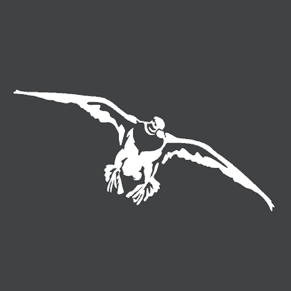 Hunters Image Drake Mallard - Small Decal