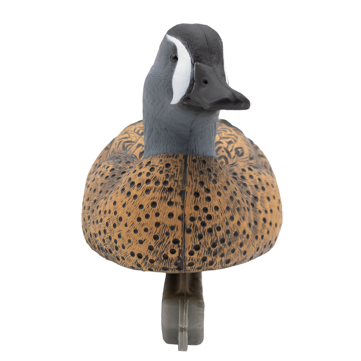 HD Early Season Teal Floater Duck Decoys - 12 Pack