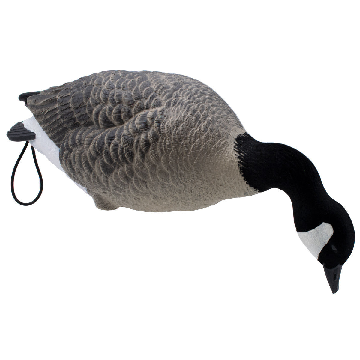 Final Approach Live Full-Body Lesser Canada Goose Decoy Angled Feeder Image