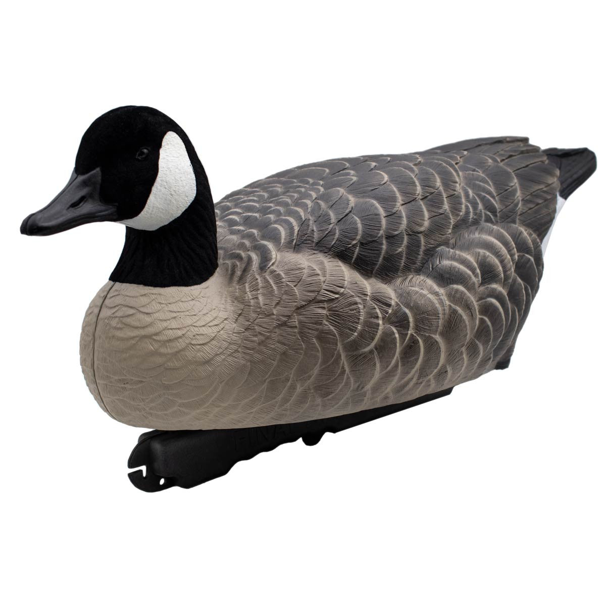 LIVE Honker Active Floaters Low Head Angled Image
