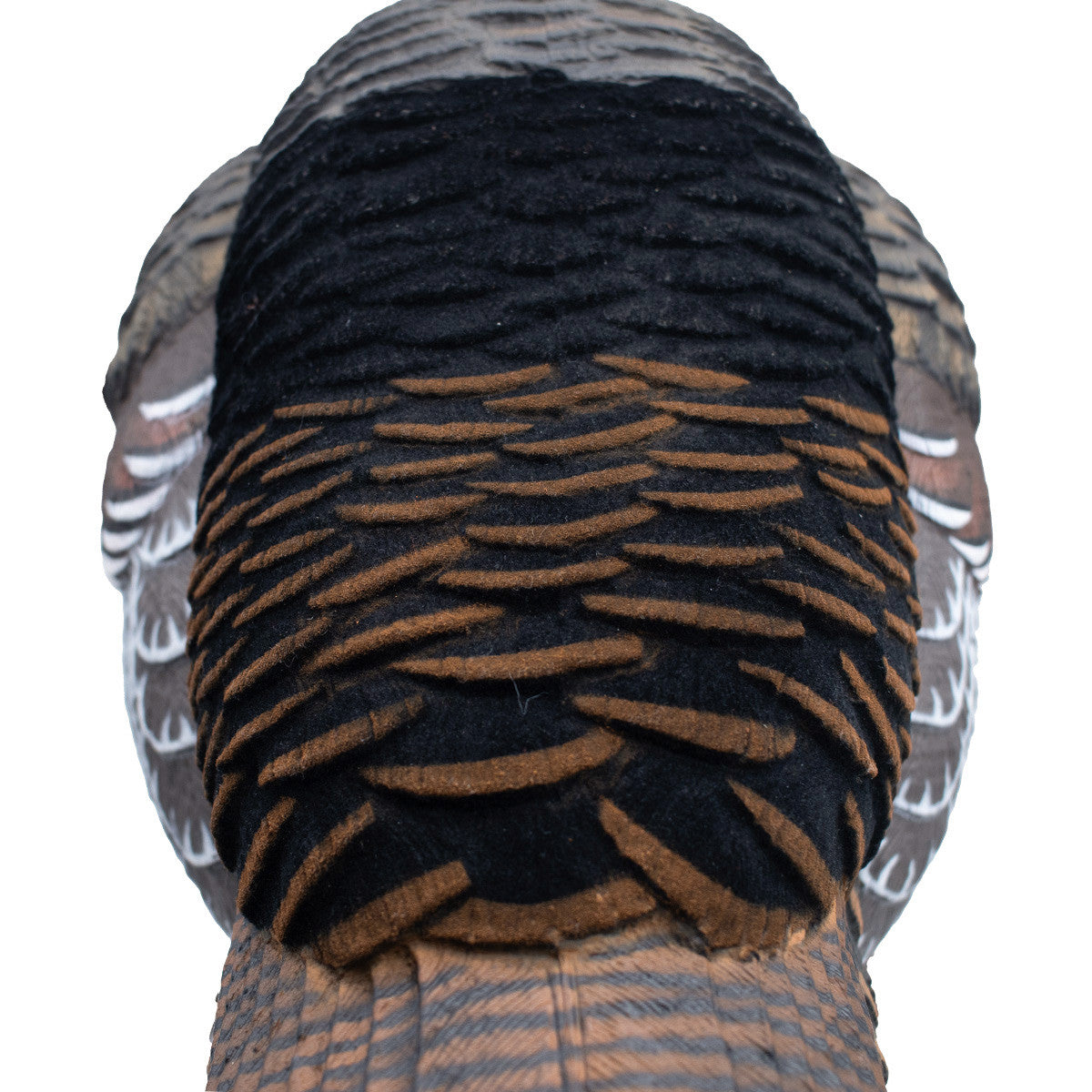 Live Jake Turkey Decoy with Flocked Back
