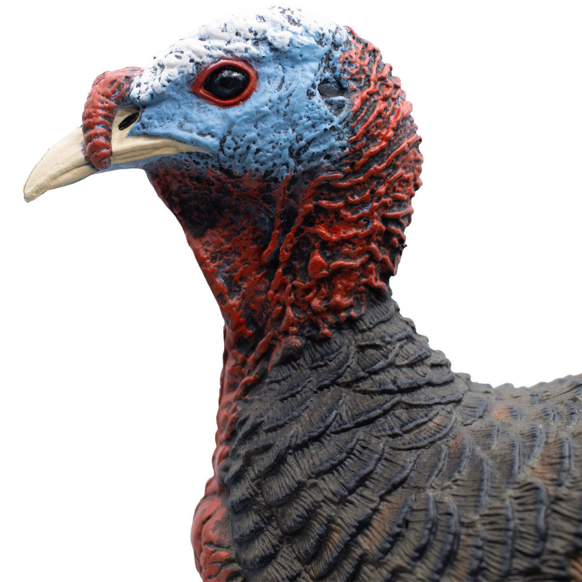 Live Jake Turkey Decoy with Flocked Back