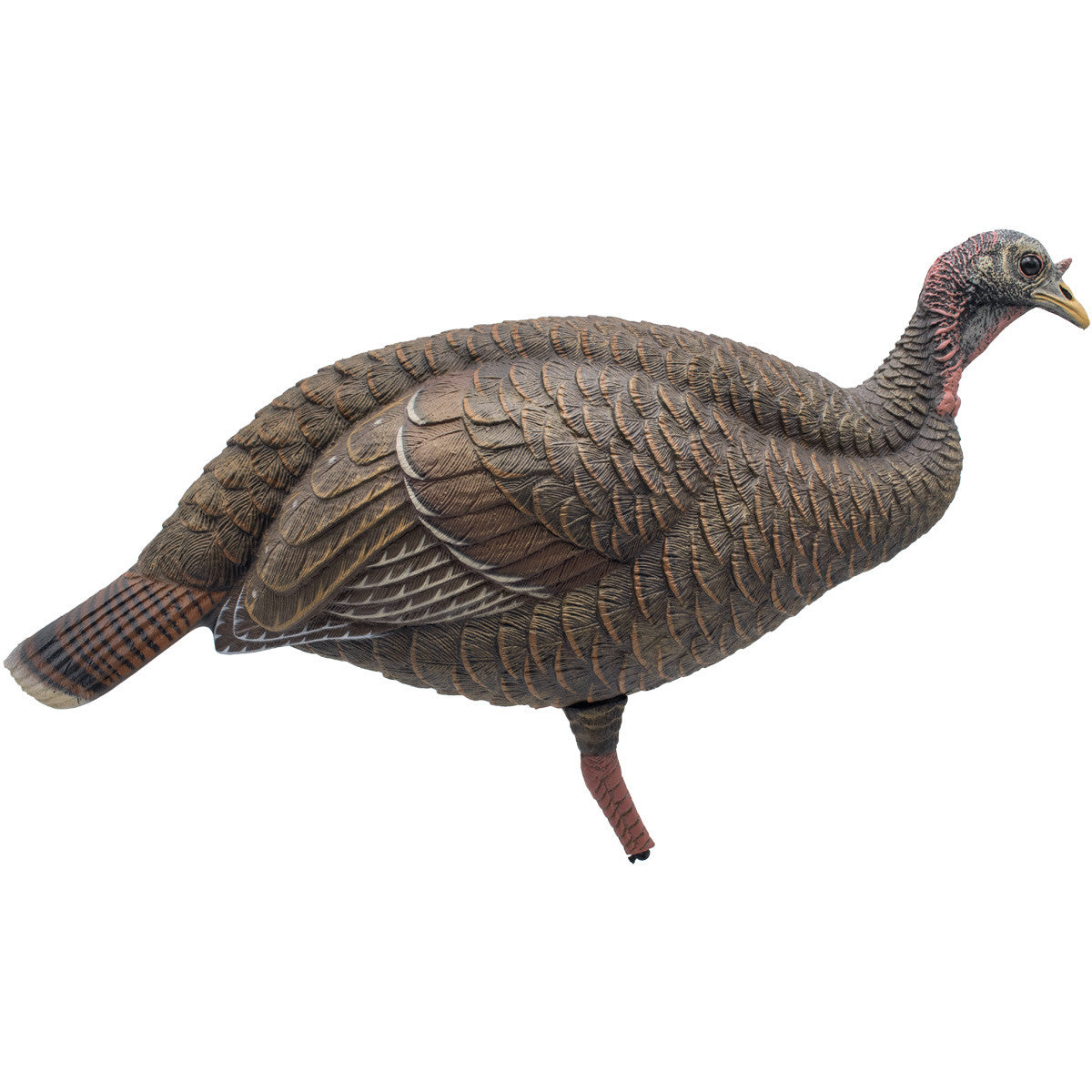 Final Approach Live Breeder Turkey Hen Decoy Right Side Image
