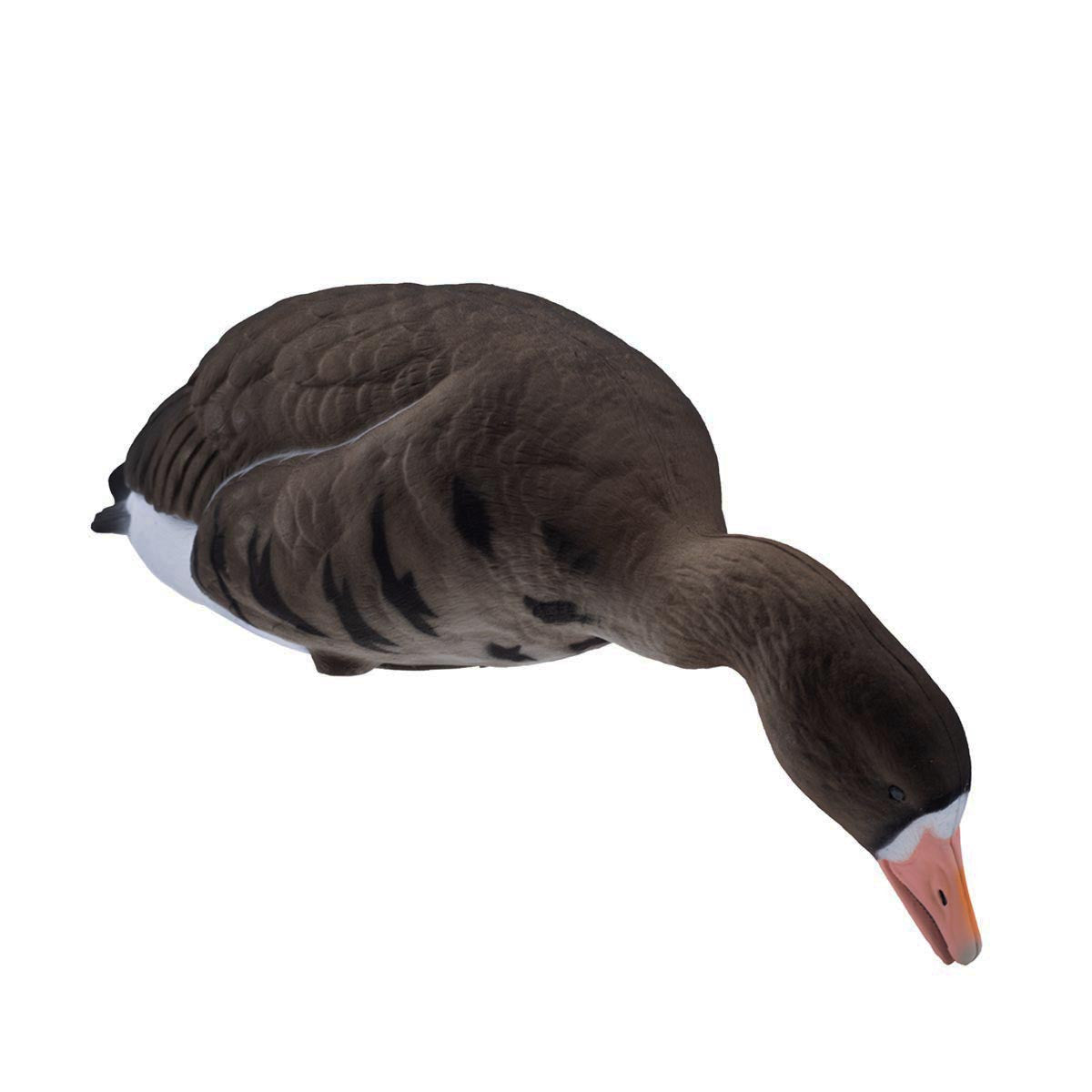 Final Approach LIVE Fully Flocked Full Body Specklebelly Geese, Feeder Variation Side Profile View