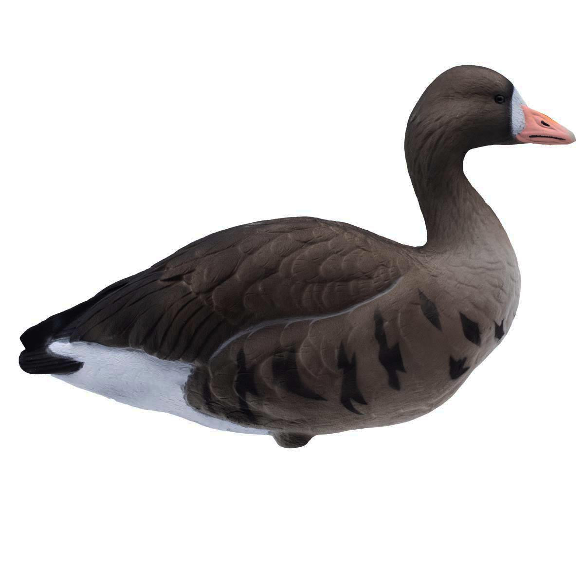 Final Approach LIVE Fully Flocked Full Body Specklebelly Goose Right Side Image