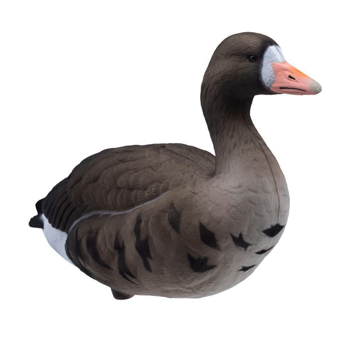 Final Approach LIVE Fully Flocked Full Body Specklebelly Goose Front Angled Image