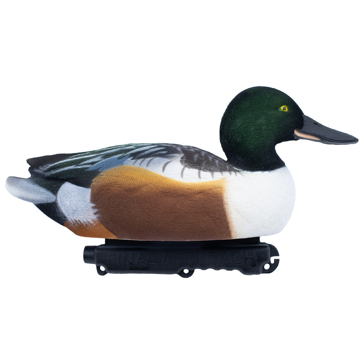Final Approach LIVE Fully Flocked Northern Shoveler Floating Duck Decoys Image