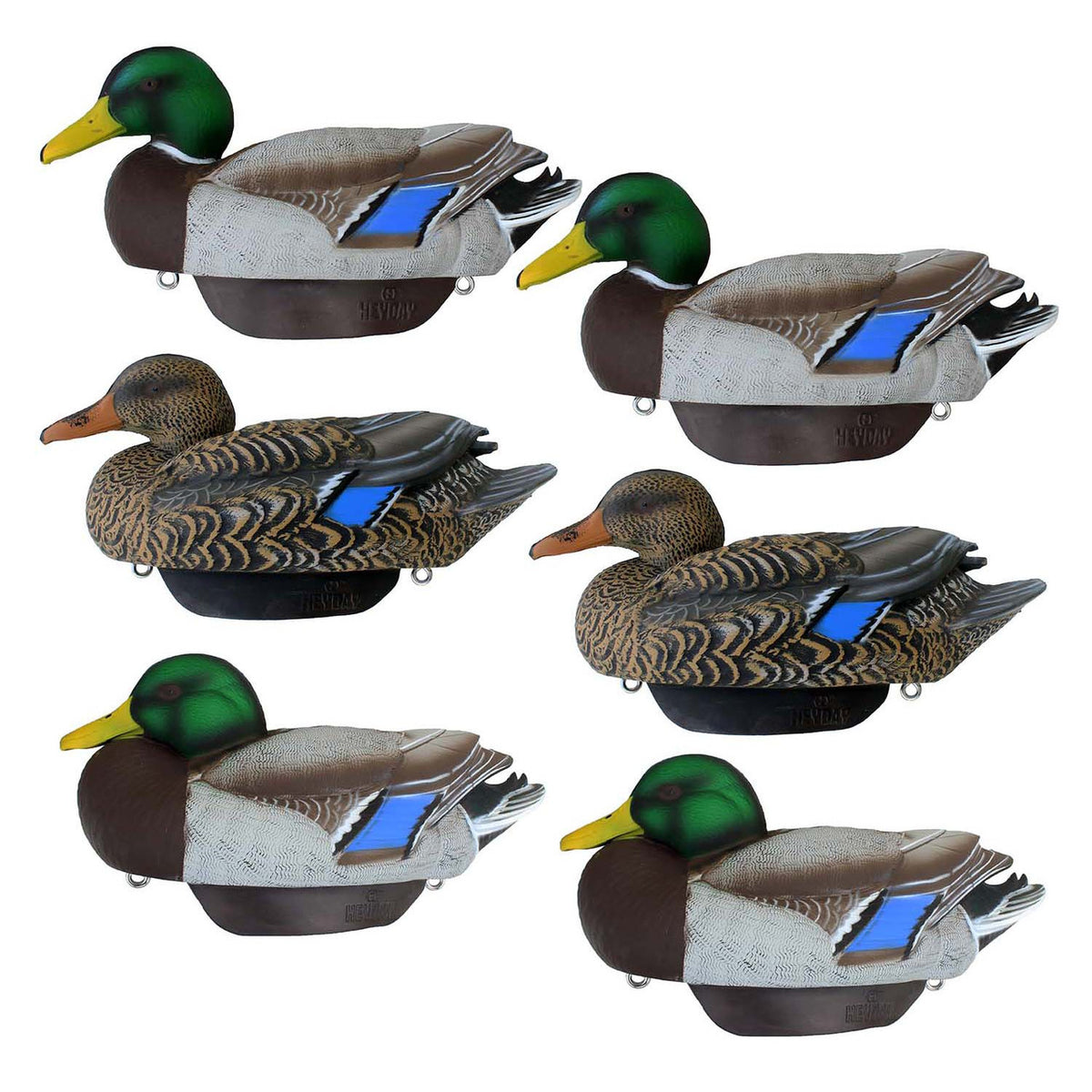 Heyday HydroFoam Mallard Decoys 6 Pack Product Image