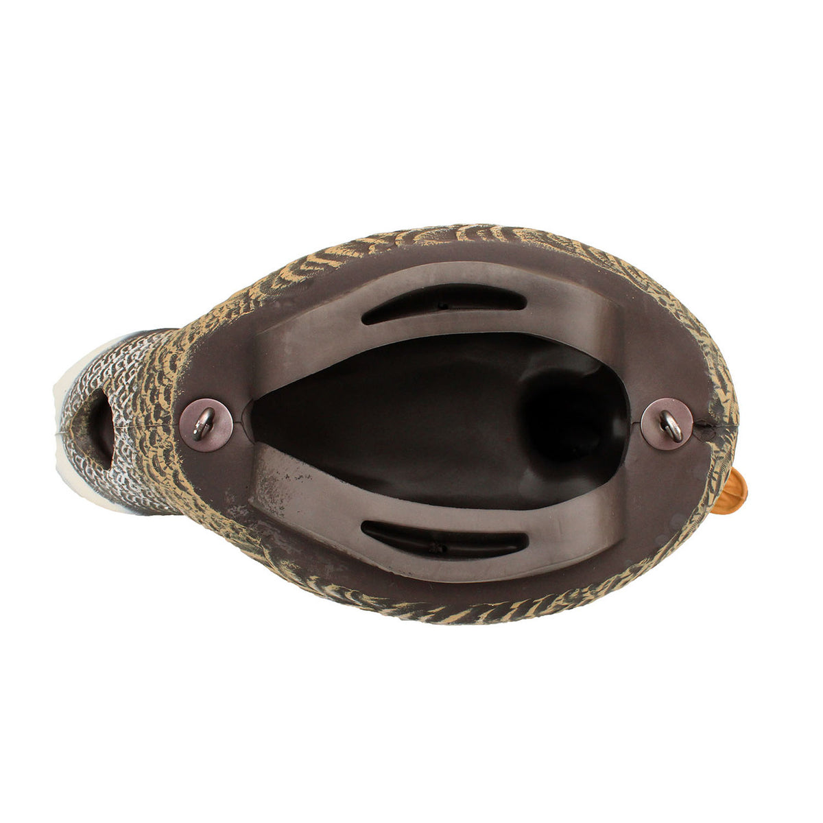Heyday HydroFoam Flocked Mallard Decoys Drake Bottom Image