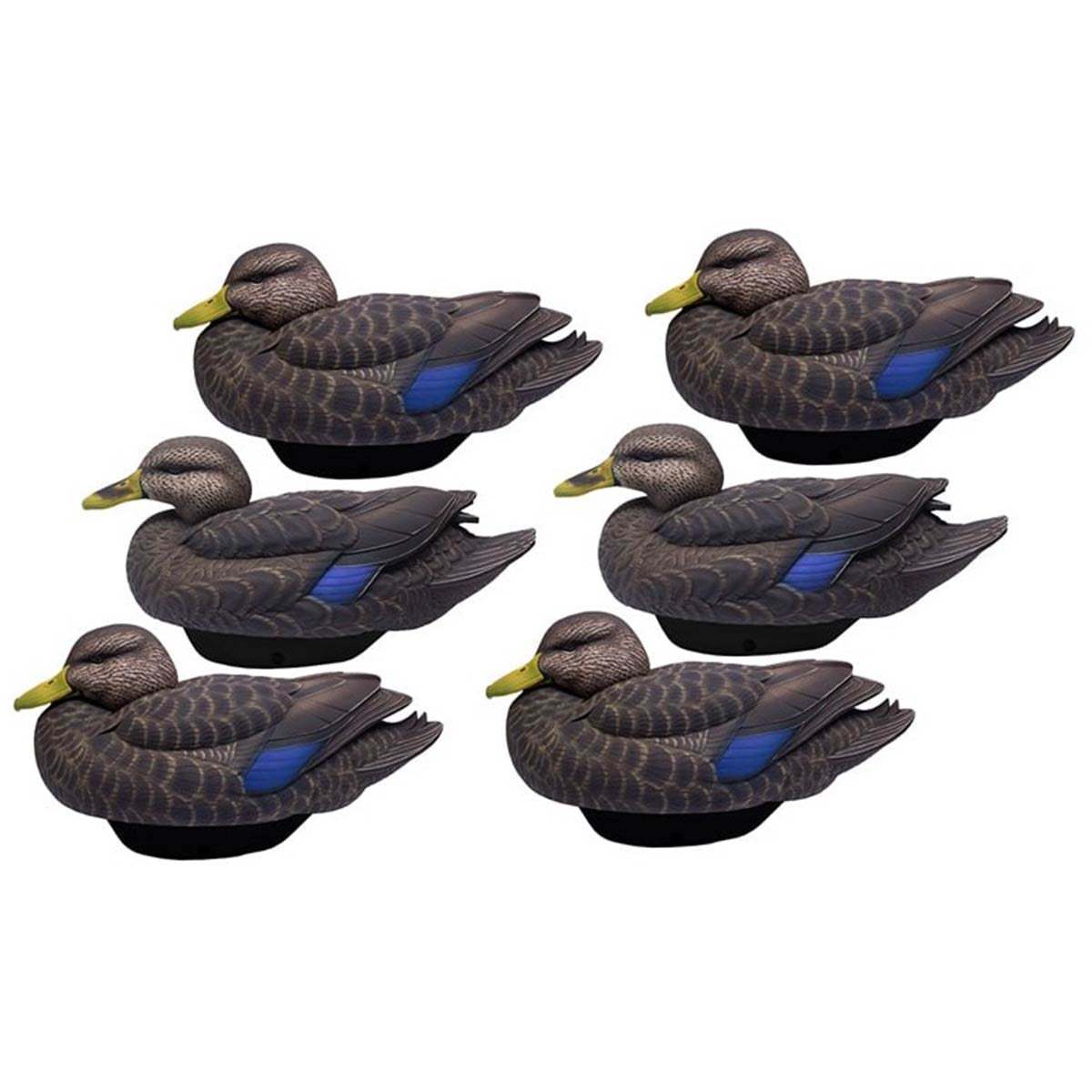 HydroFoam Black Ducks, 6 Pack