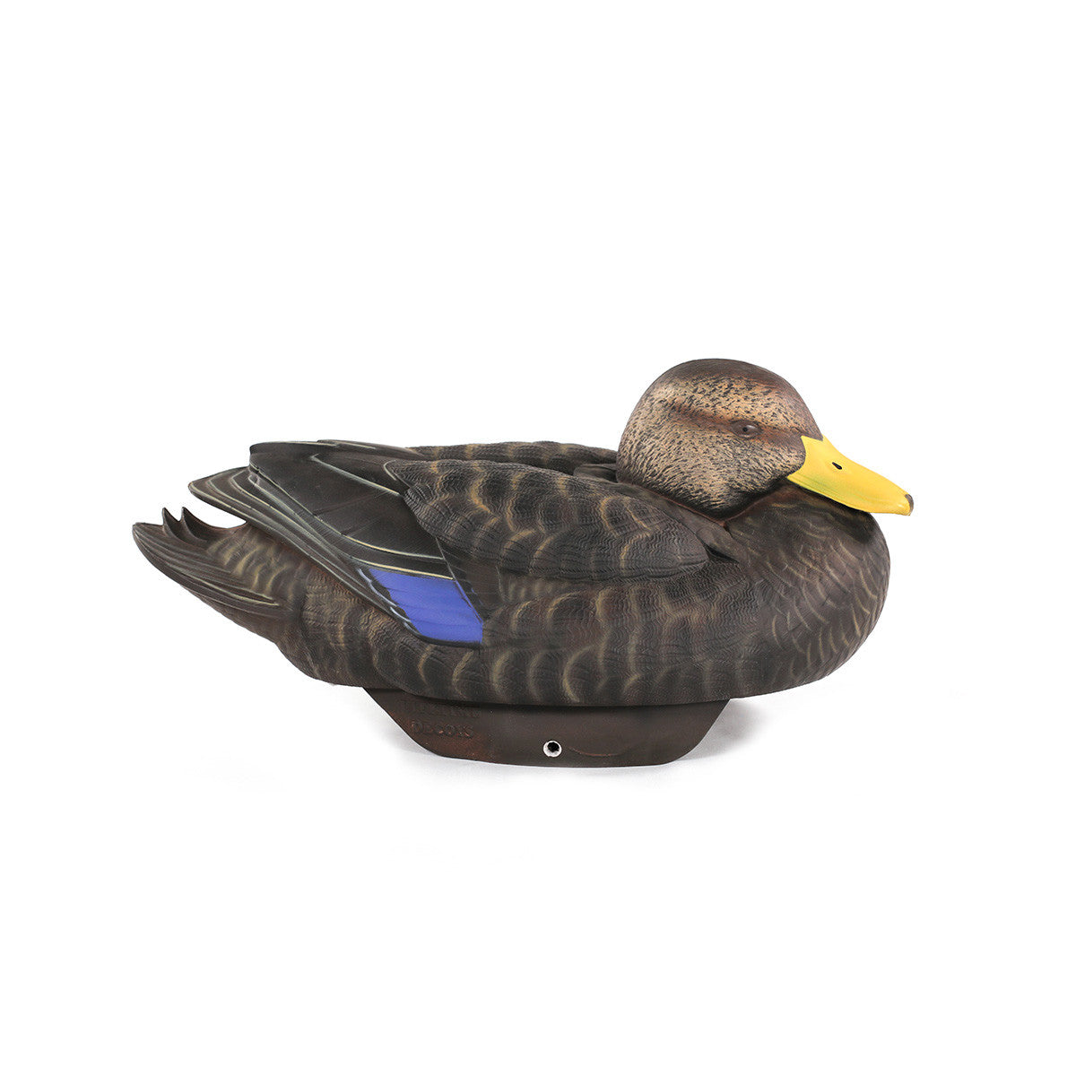 HydroFoam Black Ducks, 6 Pack