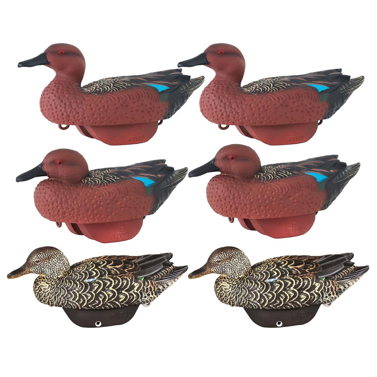 Heyday Outdoors HydroFoam Cinnamon Teal Duck Decoys, 6 Pack Main Image