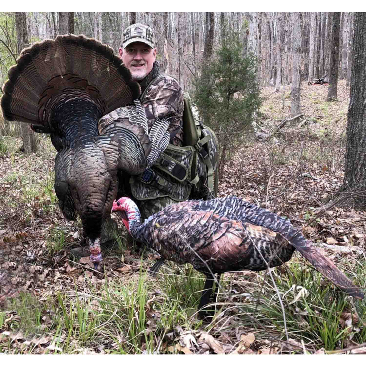 Montana Decoys Purrfect XD 3D Jake Turkey Decoy Field Image
