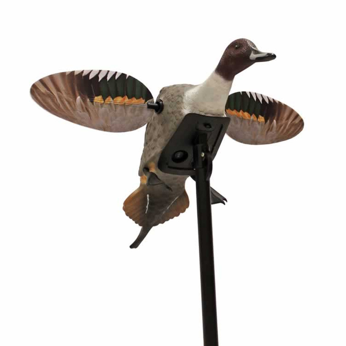 Elite Series Pintail Motorized Decoy