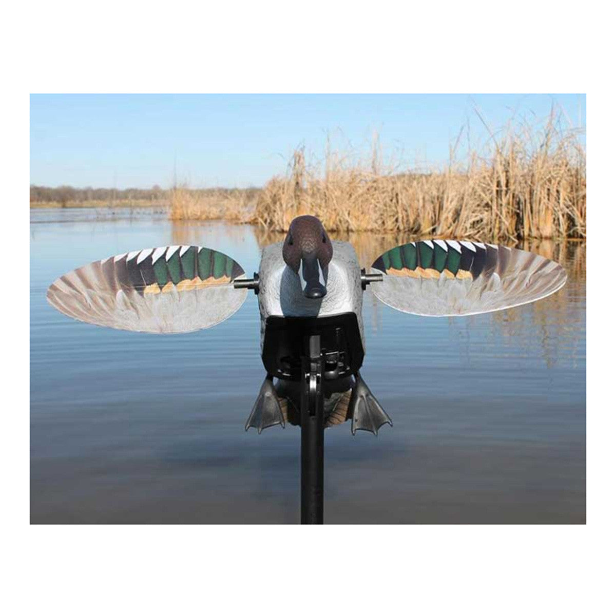 Elite Series Pintail Motorized Decoy