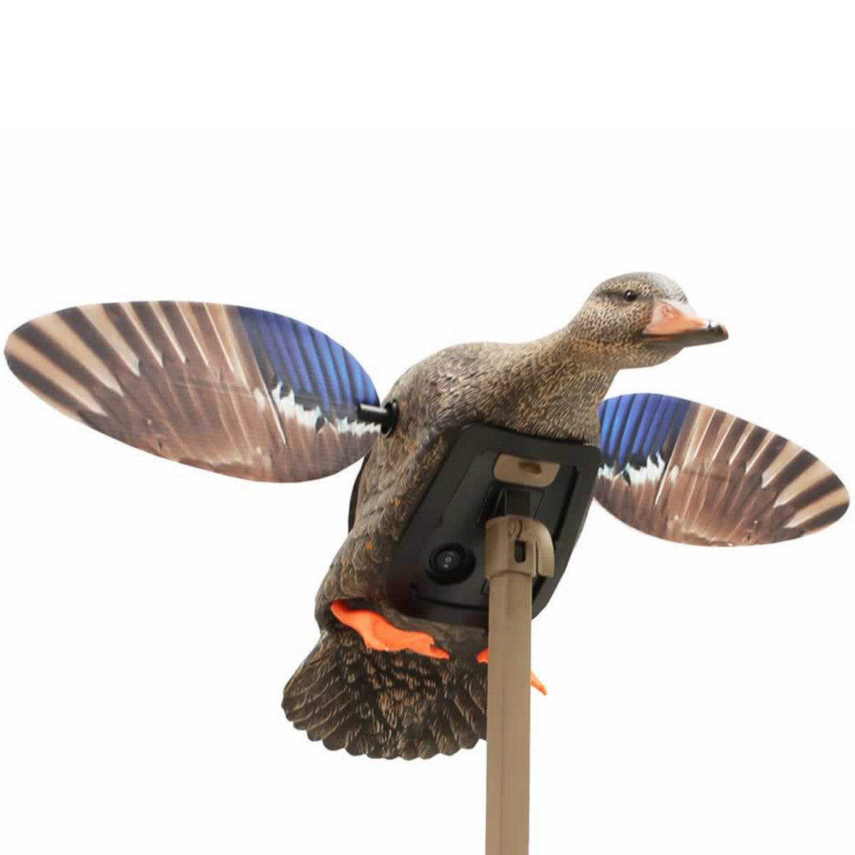 Elite Series Mini Mallard Hen Motorized Duck Decoys with motorized spinning wings