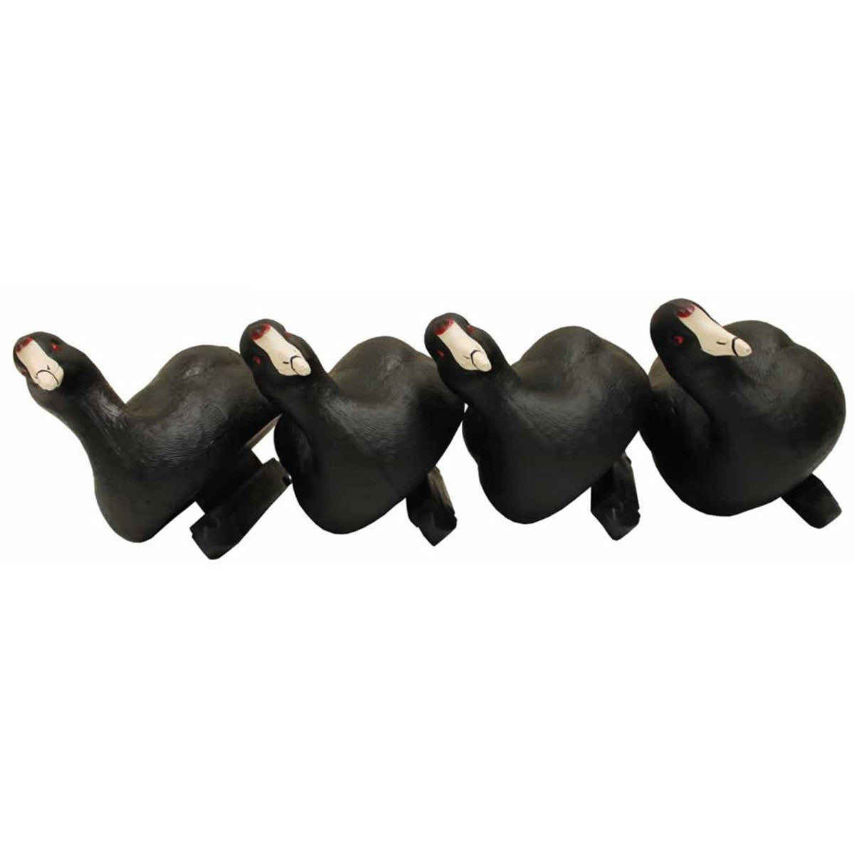 Mojo Outdoors Coot Confidence Duck Decoys, 6 Pack Front Image
