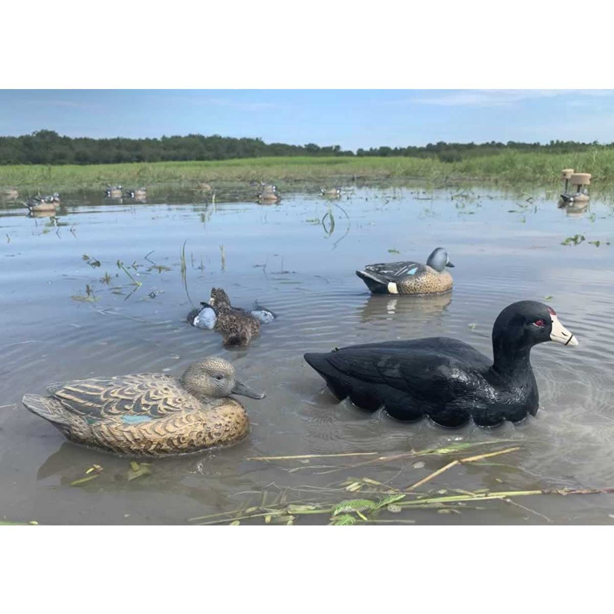 Mojo Outdoors Coot Confidence Duck Decoys, 6 Pack On-the-Water Image