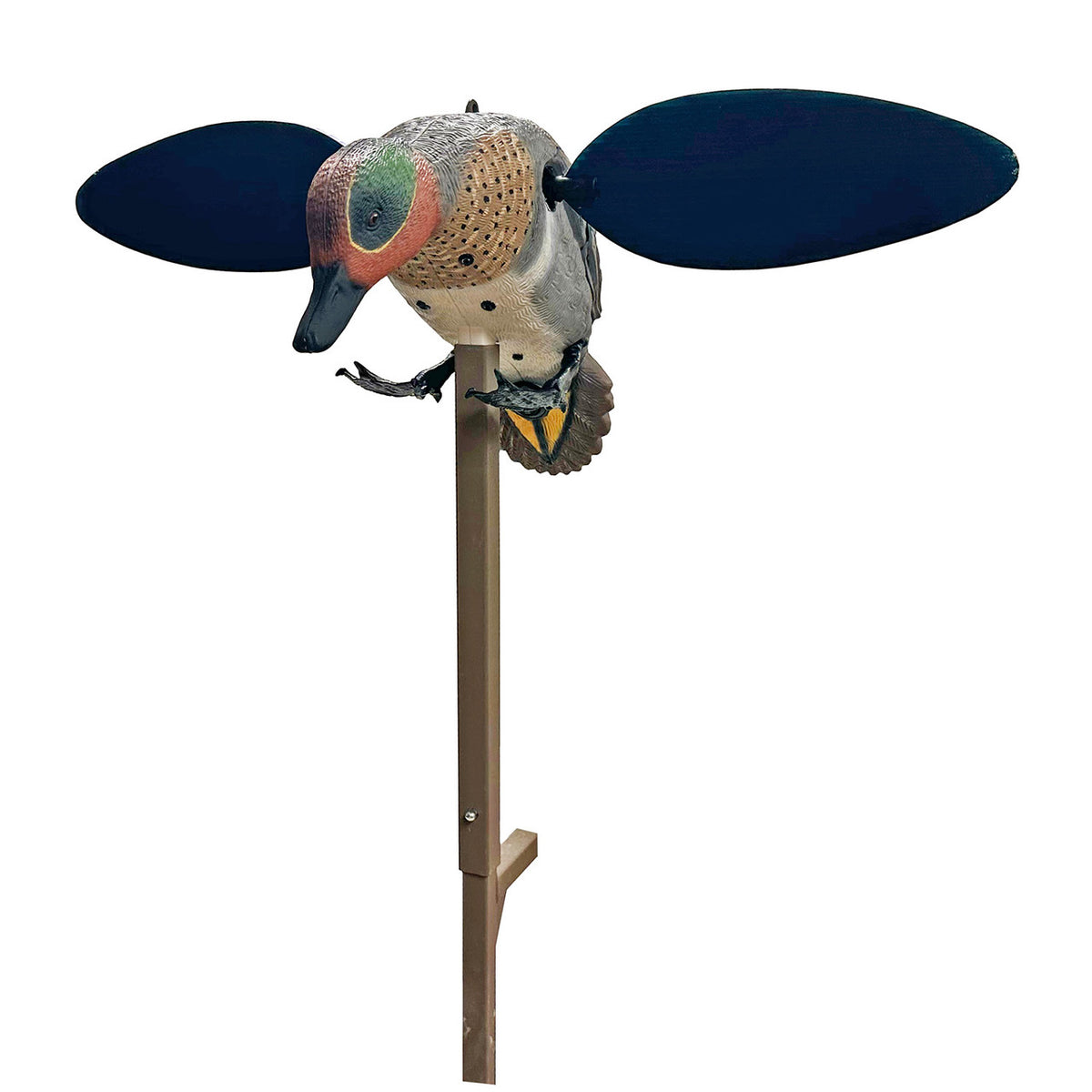 MOJO Outdoors Green-Winged Teal Spinning Wing Duck Decoy Image