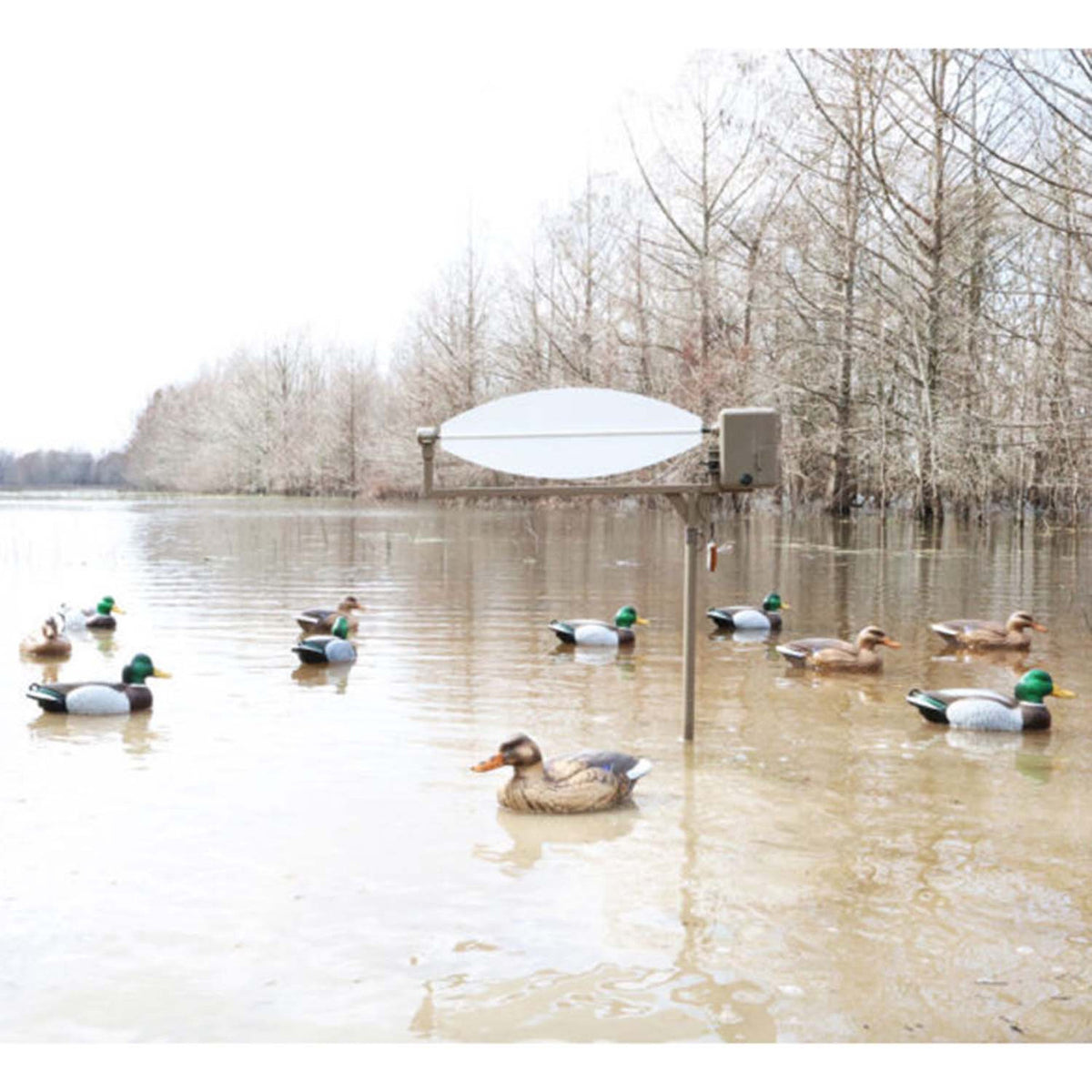 Mojo Outdoors Big Blade Spinning Blade Decoy Field Image