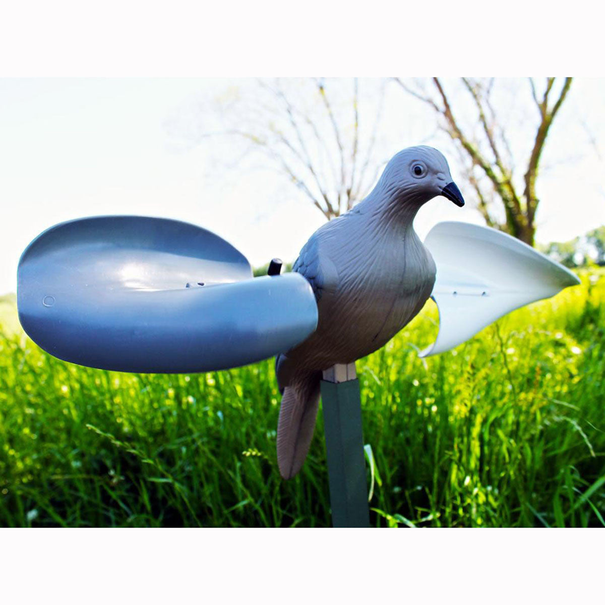 Mojo Outdoors Wind Dove Decoy Image