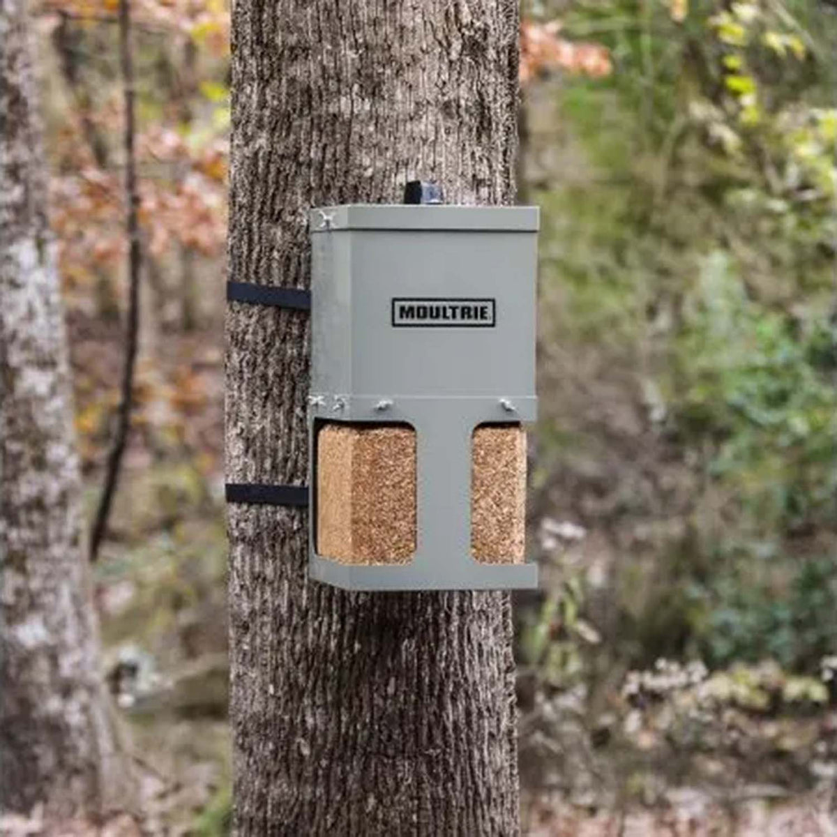 Outdoor filled image of the Moultrie Block Feeder.