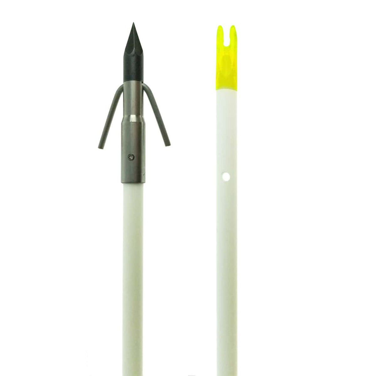 Muzzy Fish Arrow with Carp Point