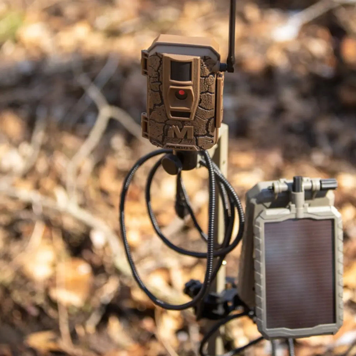 Muddy Mitigator 2.0 24MP Cellular Camera Product Image