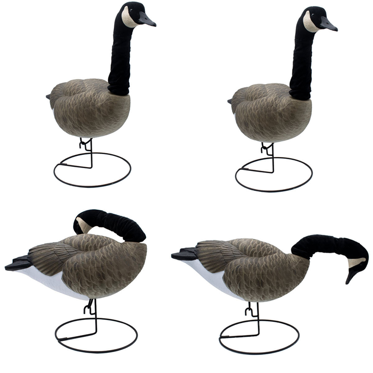 Canada Goose Full Body Decoy w/ Flexlite Heads - 4 Pack