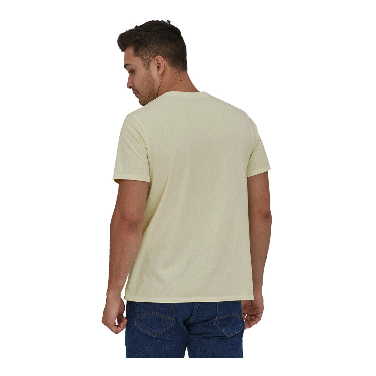 Patagonia Fitz Roy Icon Responsibili-Tee Back Model Image in Birch White