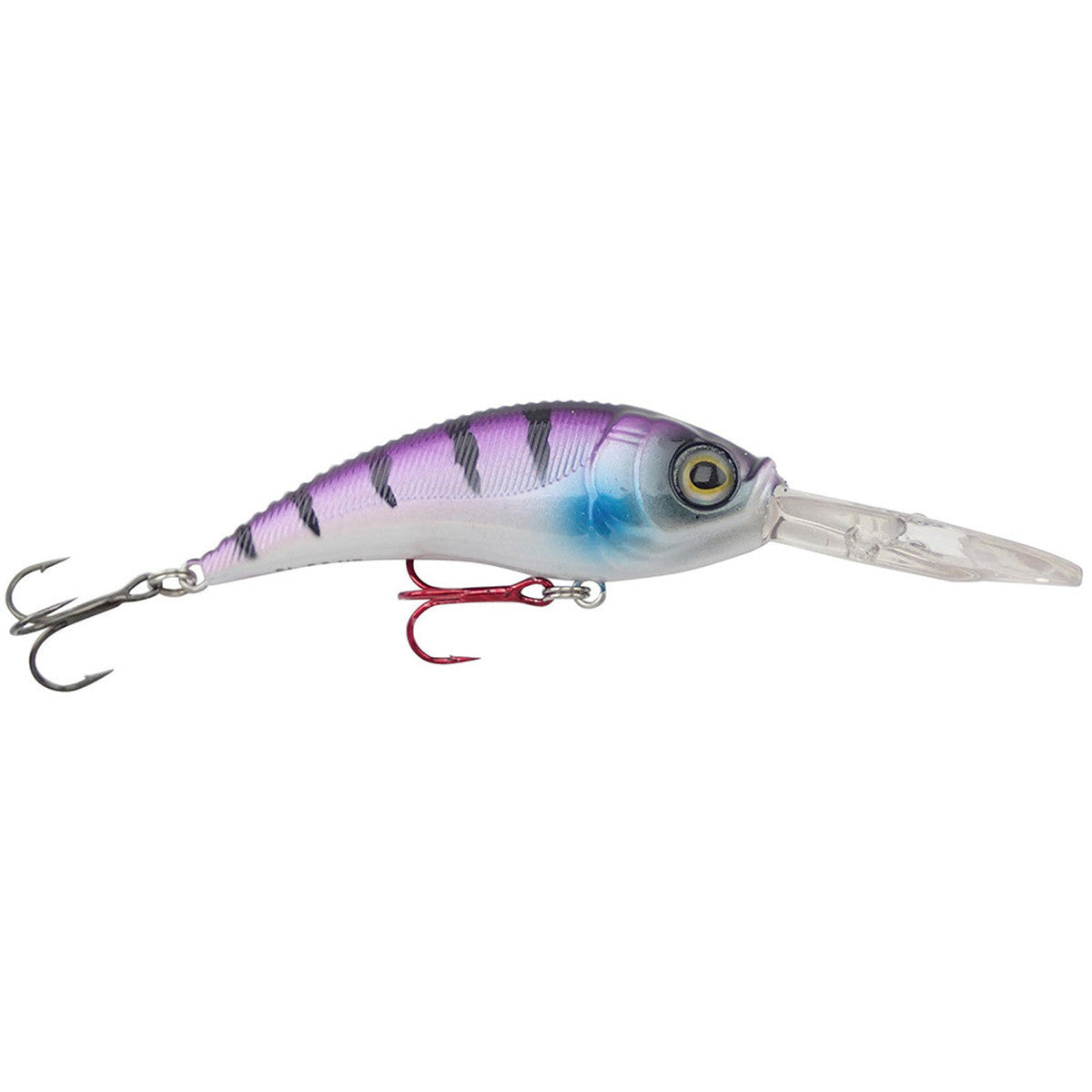 Purple Tiger