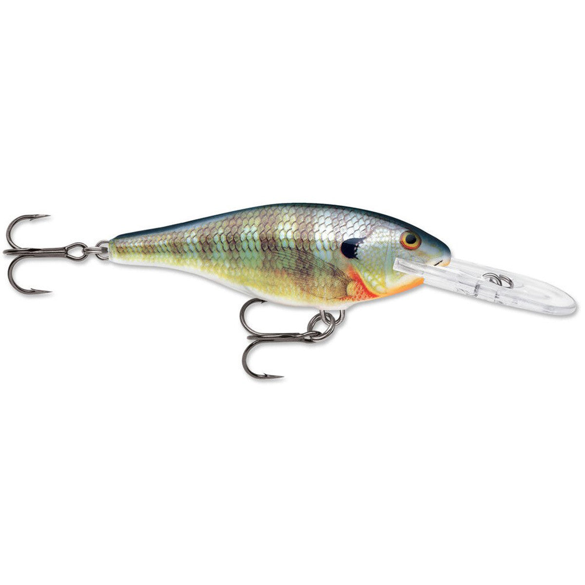 Rapala 2" 3/16oz Shad Rap in Blue Gill