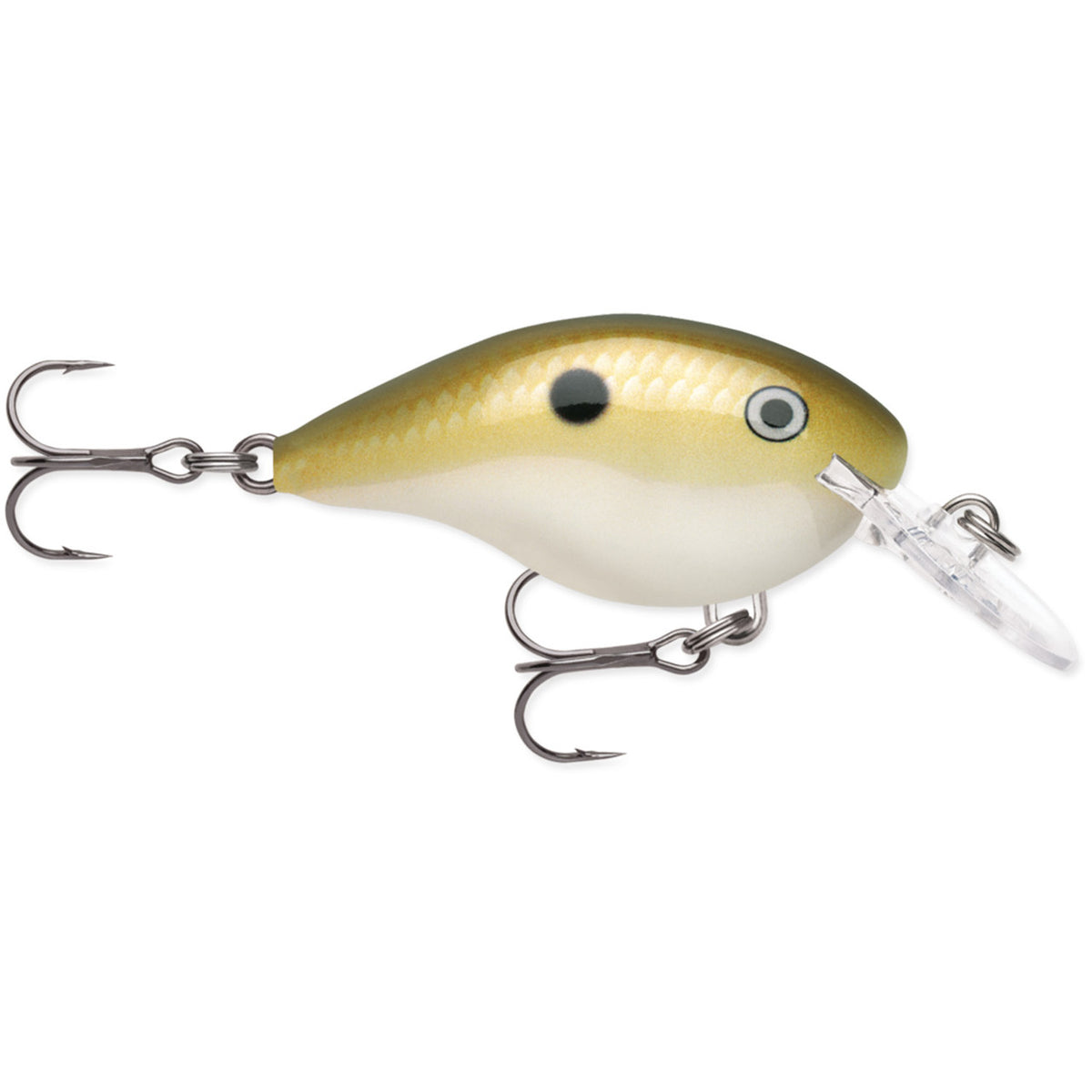 Rapala DT04 Series Crankbait Image in Lemon Shad