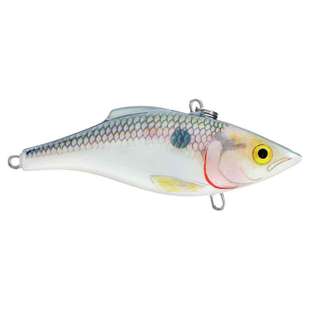 Rapala Rattlin' Rap Hard Lures, Shad Variation