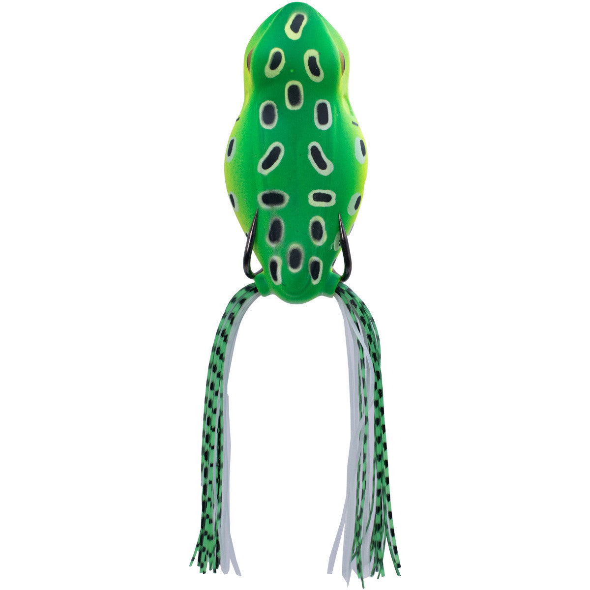 Rogers Rave 60 Hollow Body Spittin' Frog Image in Citrus Frog
