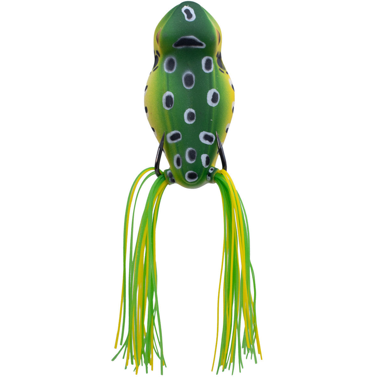 Rogers Rave 60 Hollow Body Spittin' Frog Image in Leopard Frog