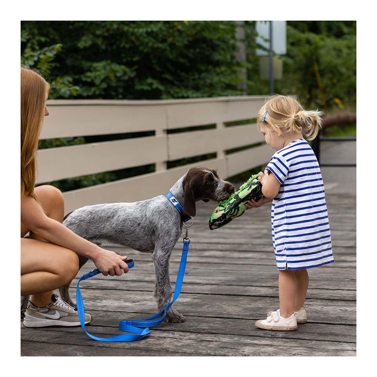 ROCT Angry Alligator Lined Dog Toy Lifestyle Image