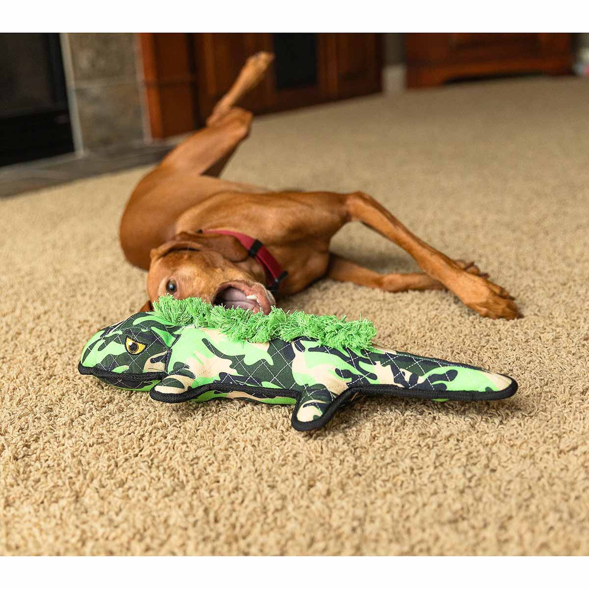 ROCT Angry Alligator Lined Dog Toy Lifestyle 2 Image